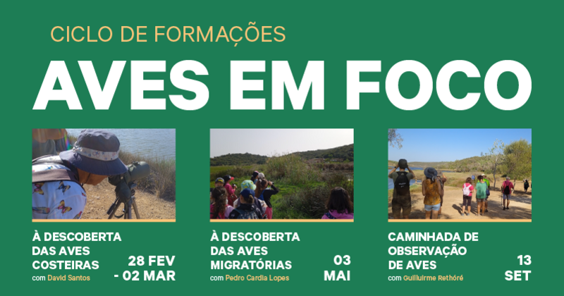 _dac_site_destaque_800x430px