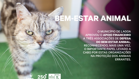 banner_ni20230912_site_noticia