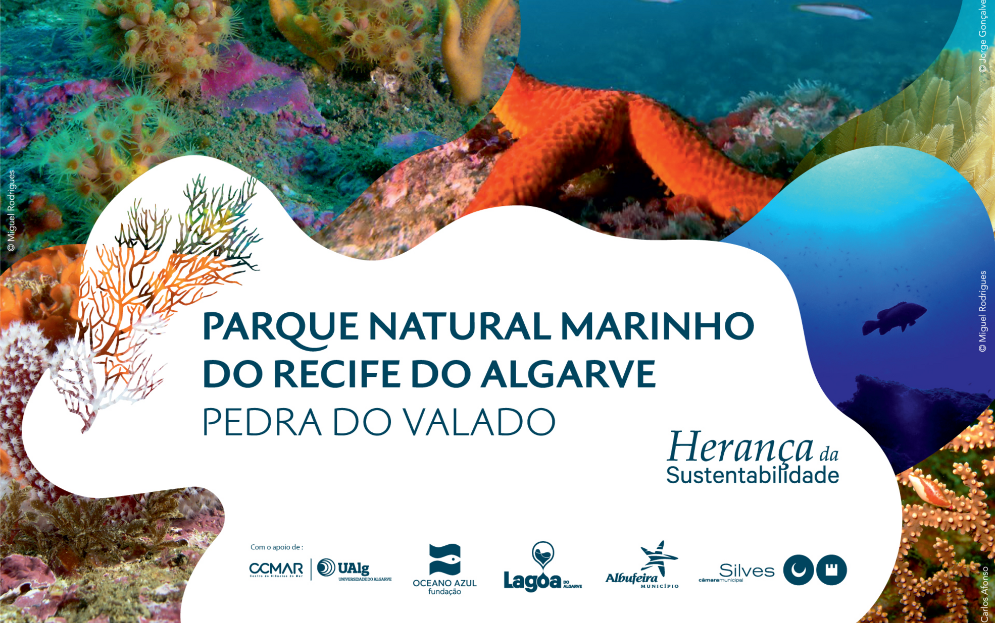 Lagoa Congratula-se com Criação do Parque Natural Marinho do Recife do Algarve – Pedra do Valado