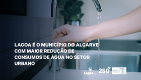 banner_ni_20231218_noticia