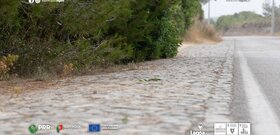 ni_ca_carv_aca_noticia