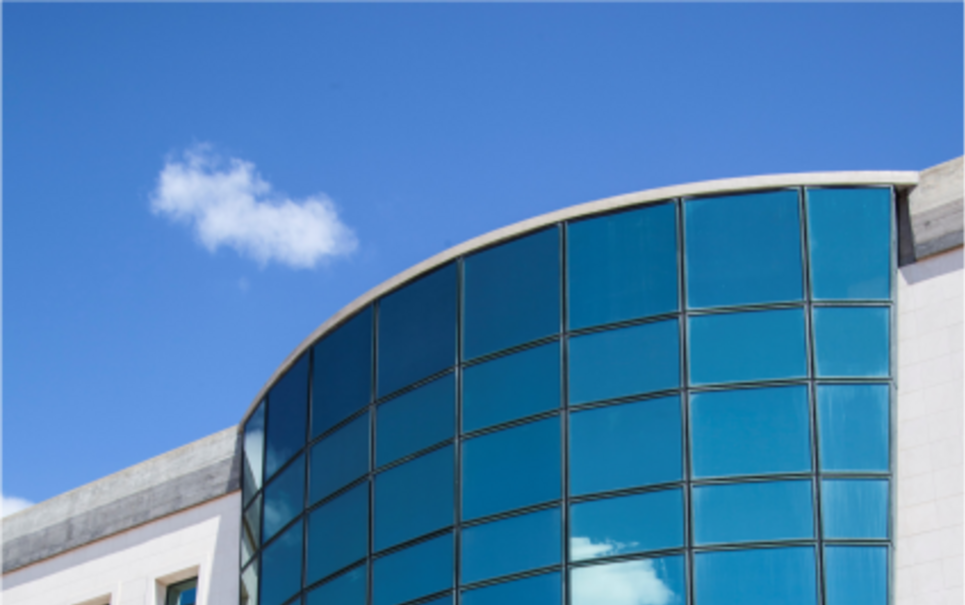 Edital - Profilaxia da Raiva e Outras Zoonoses - Vacina Antirrábica