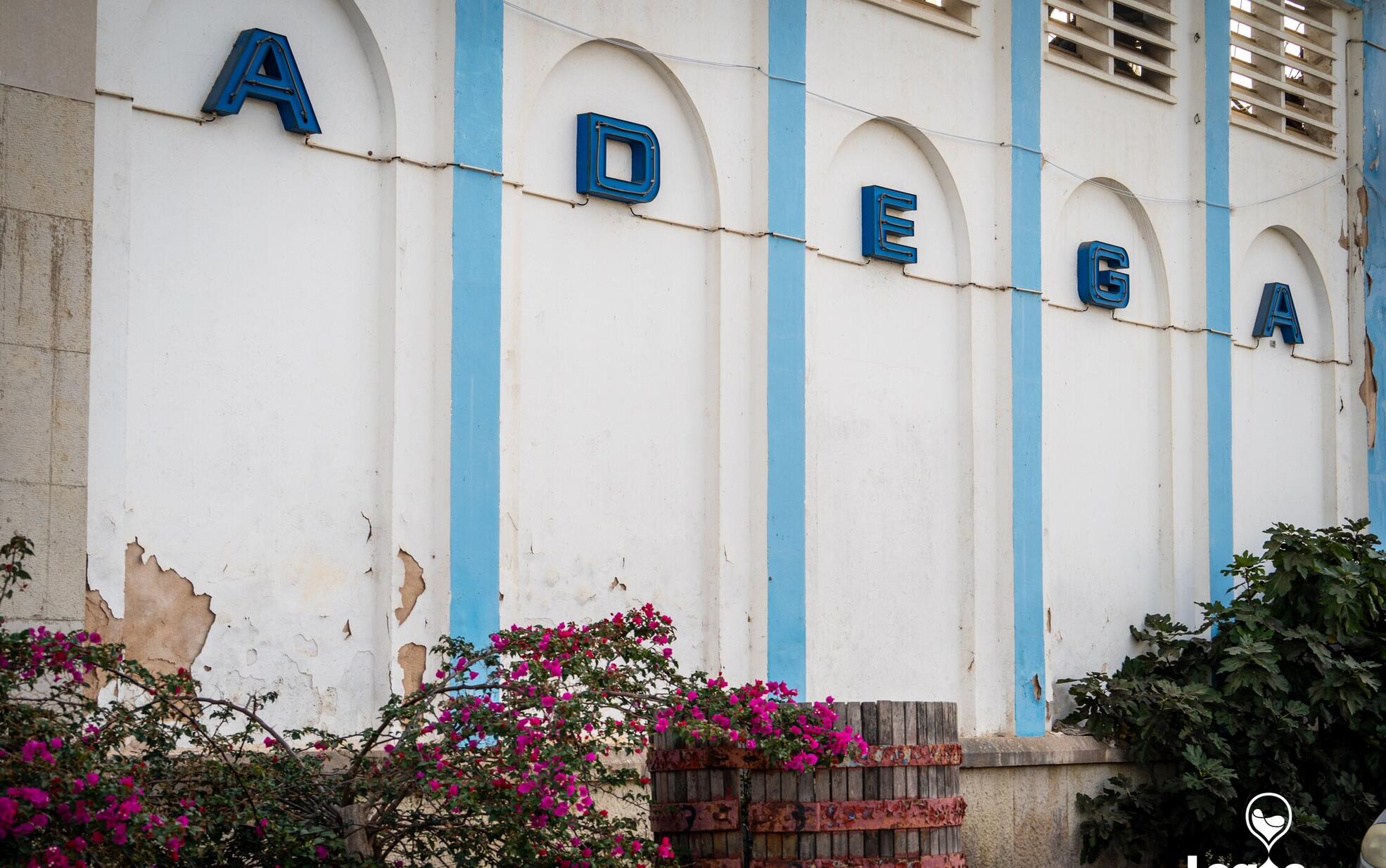 Adega Cooperativa do Algarve celebrou 81 anos de história com homenagem às suas raízes e à comuni...