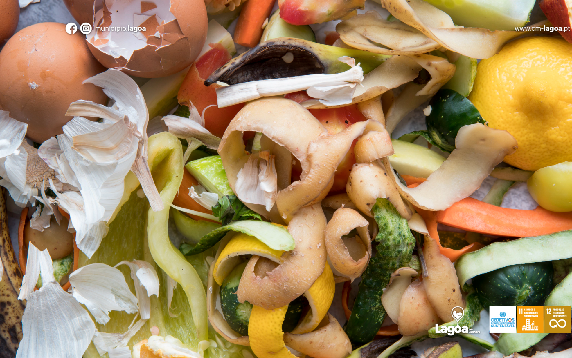 Recolha de Biorresíduos | Lagoa ultrapassa o objetivo da taxa de captura de Biorresíduos em 2024