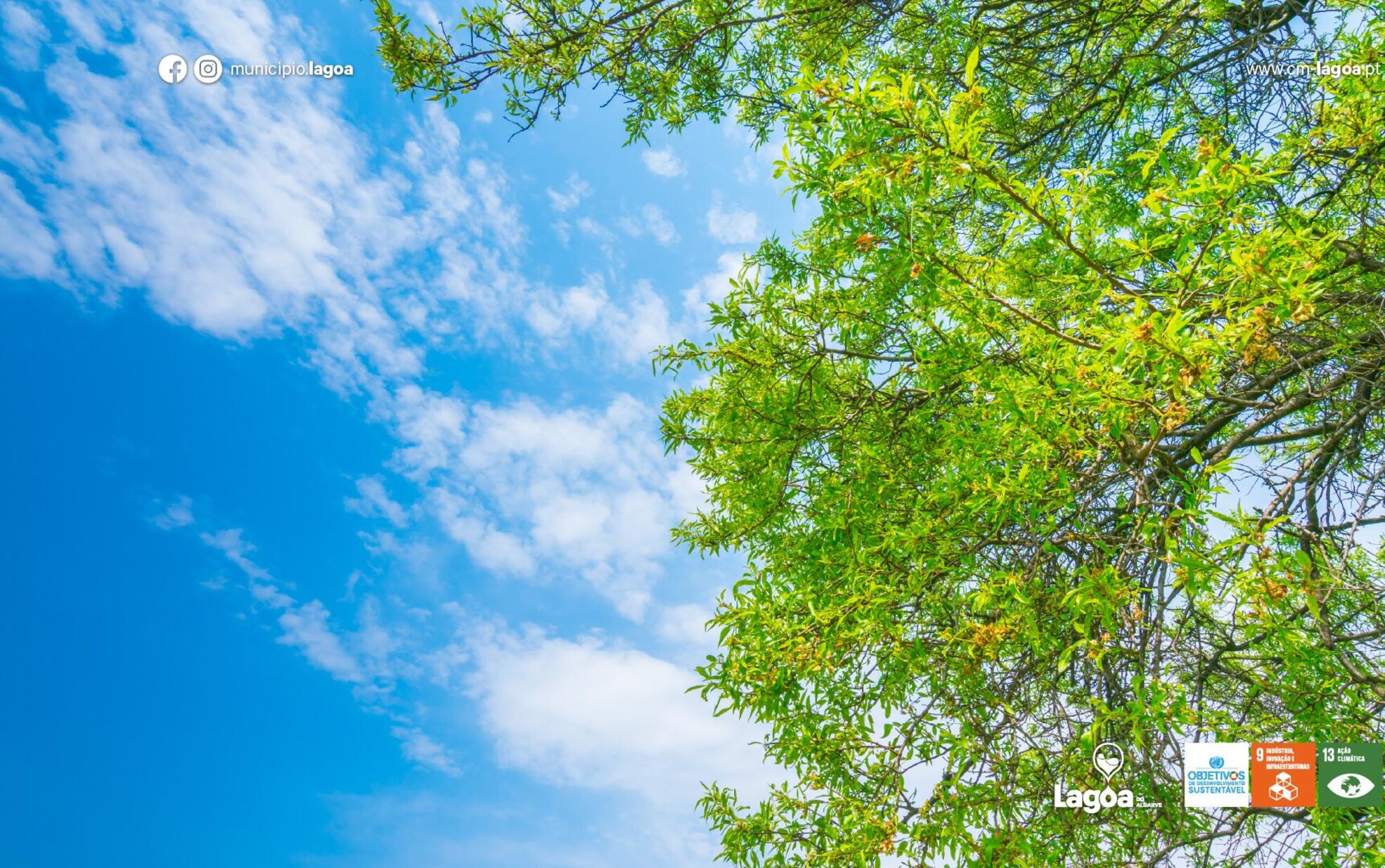 Município de Lagoa reforça aposta na qualidade do ar e nas cidades inteligentes com projeto desen...