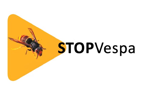 stopvespa_imagem_destaque_site_prancheta_1