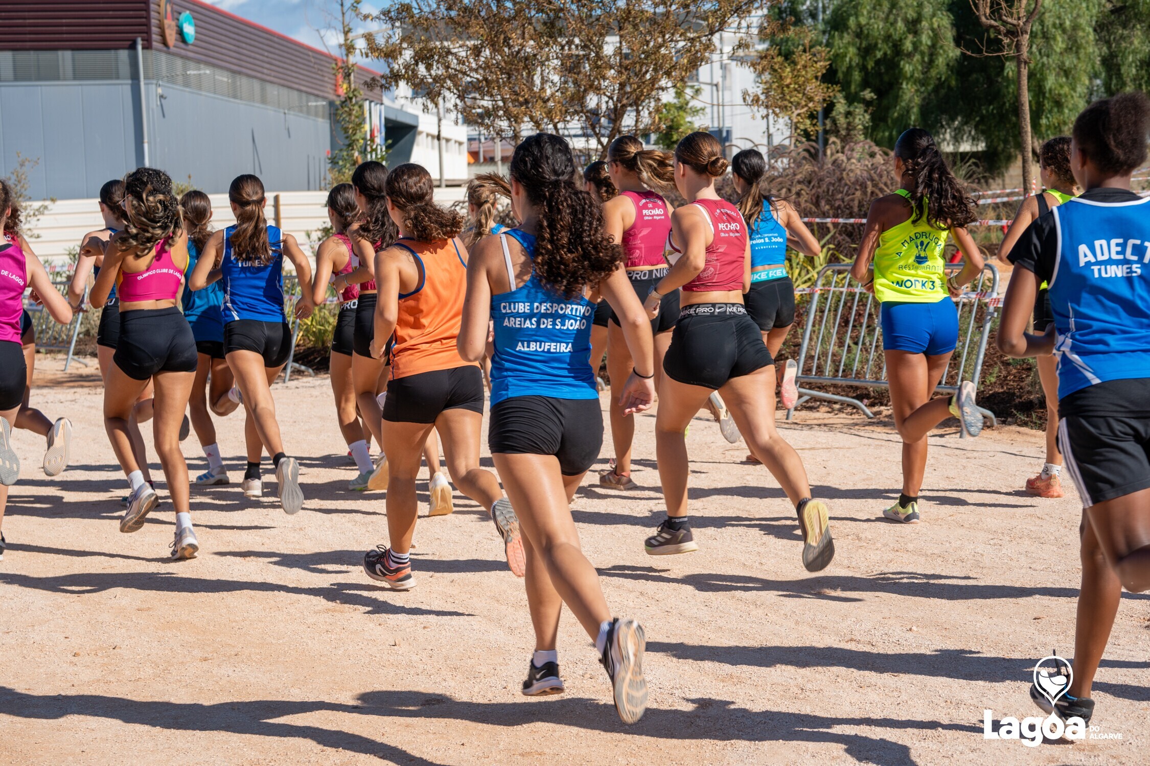 Campeonato Regional de Corta-Mato 