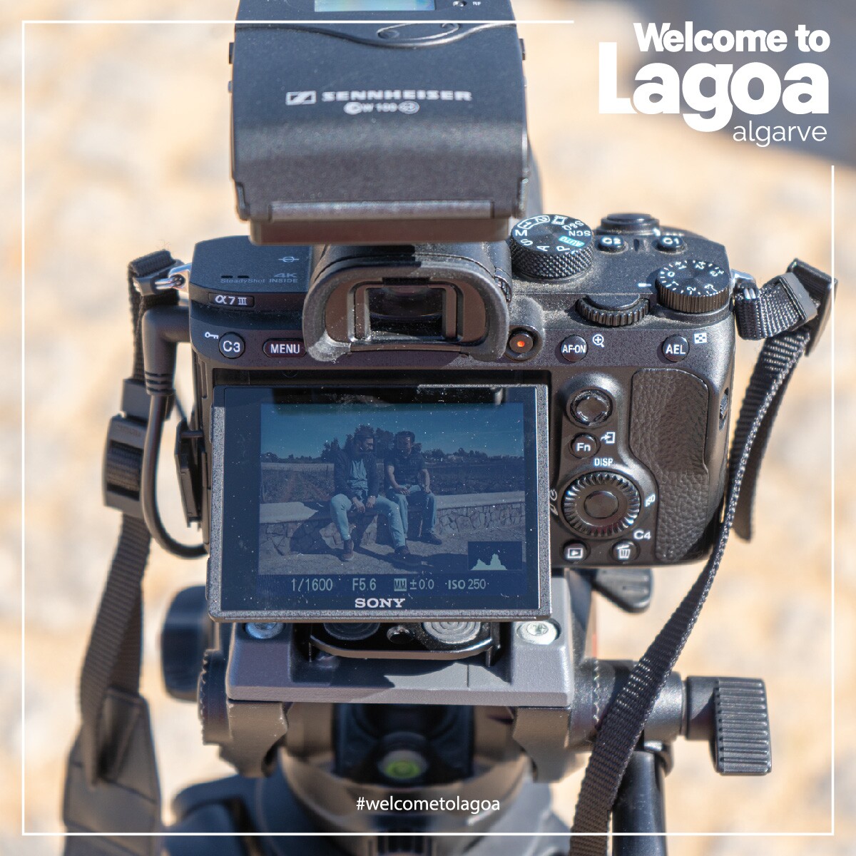 Gaiola na Estrada 02