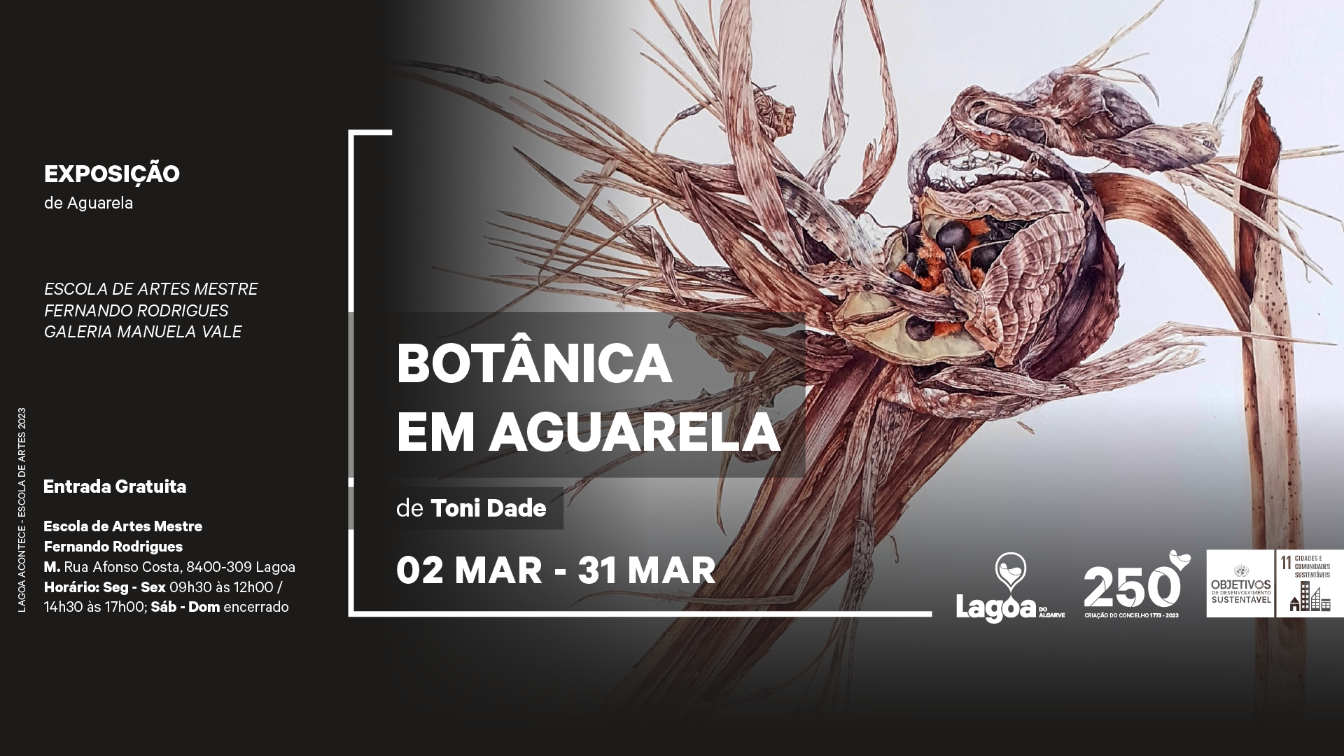 Exposição | Botânica em Aguarela | Exposição de Toni Dade