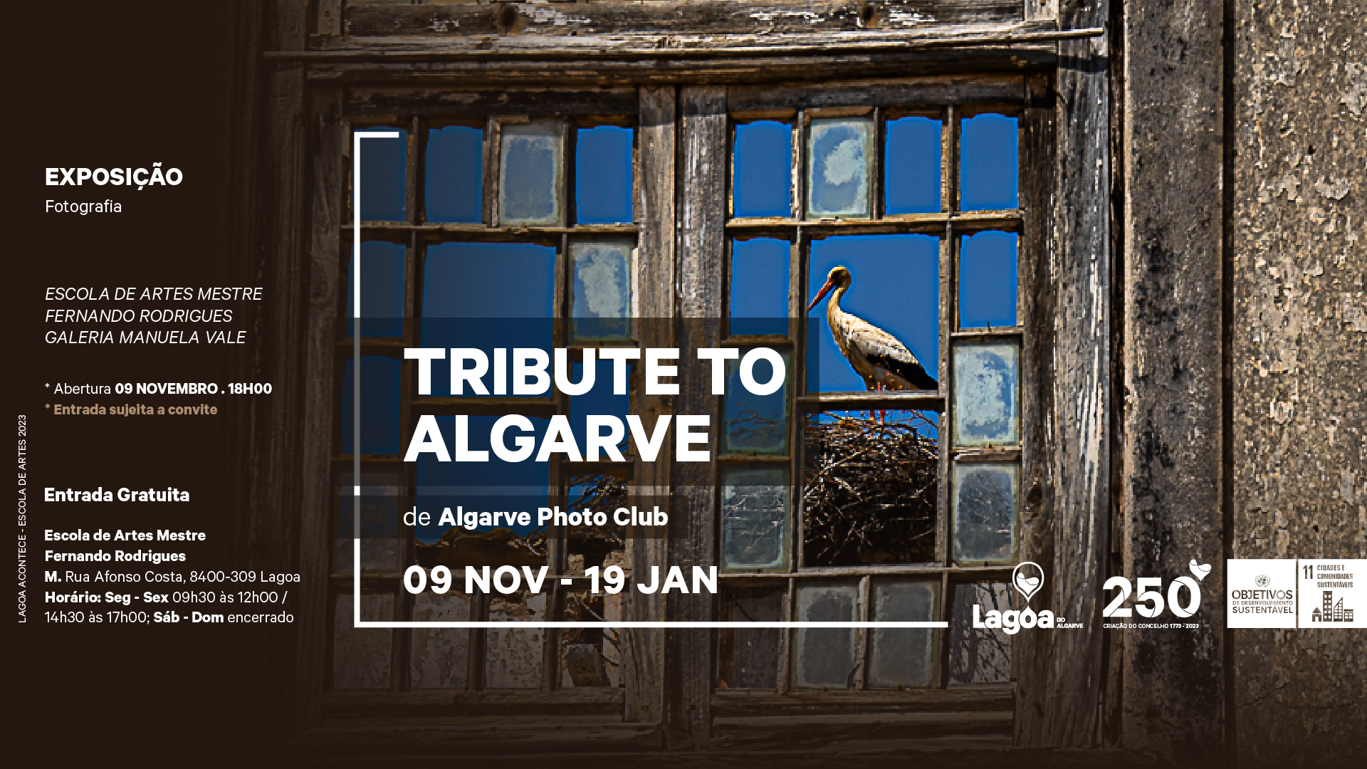 "Tribute To Algarve"