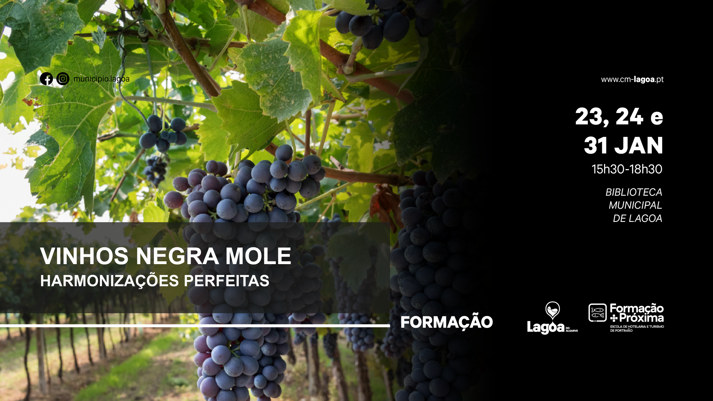 Formação +Próxima | "Vinhos Negra Mole"
