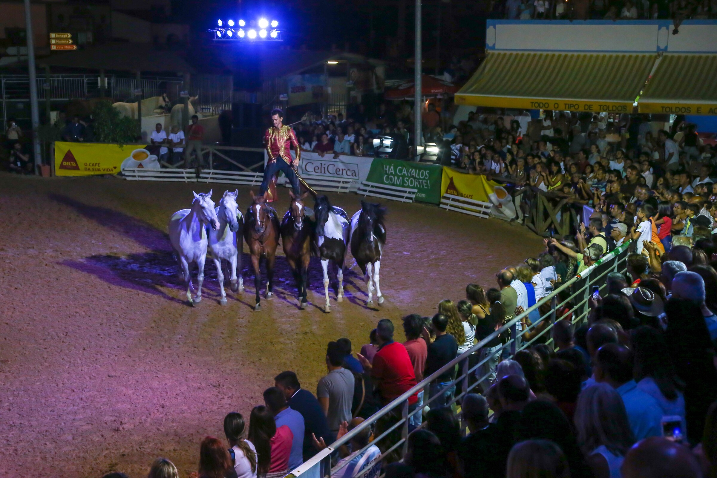 42ª Edição da FATACIL apresenta um Programa Equestre ambicioso com cavaleiros de renome nacional ...