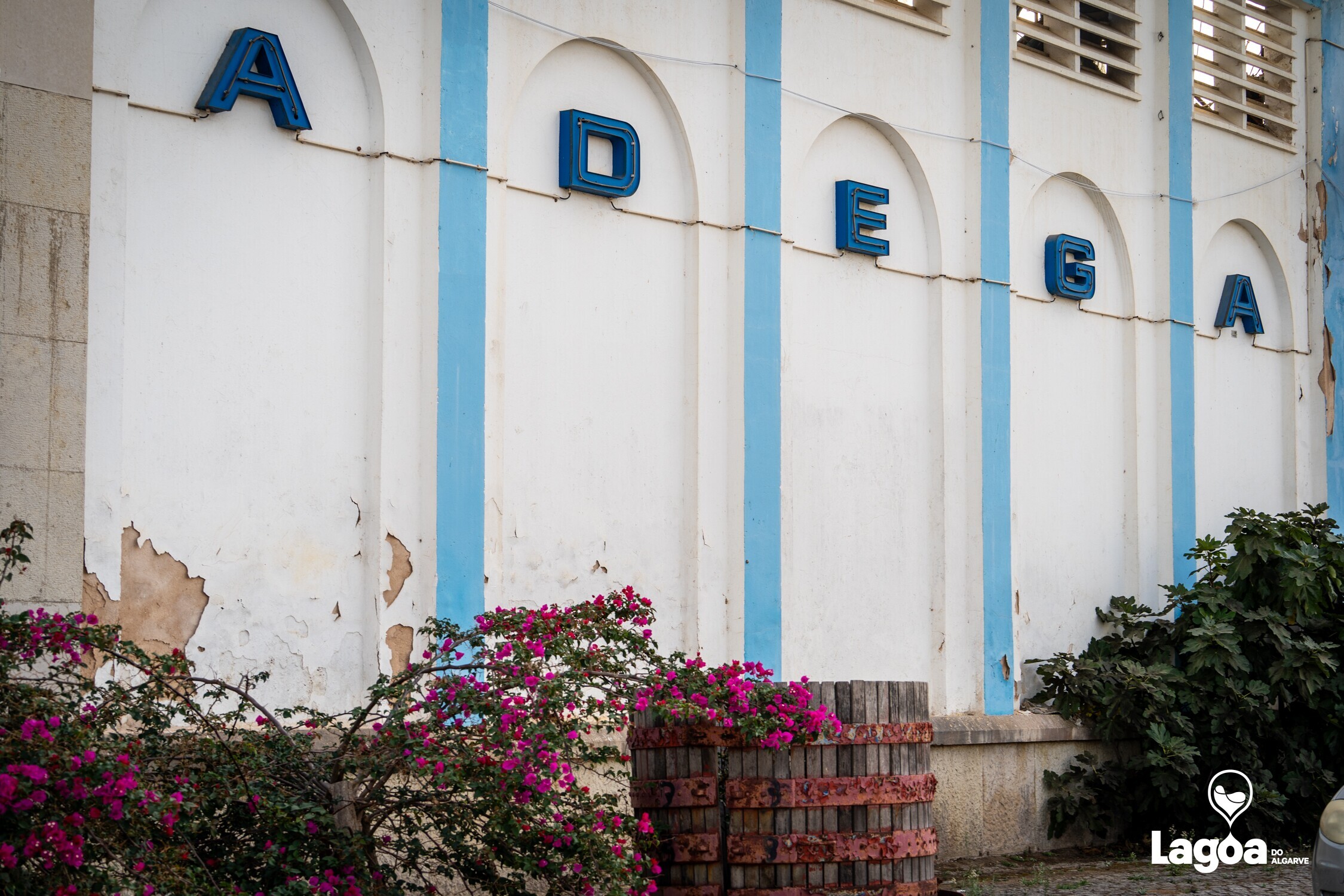 Adega Cooperativa do Algarve celebrou 81 anos de história com homenagem às suas raízes e à comuni...