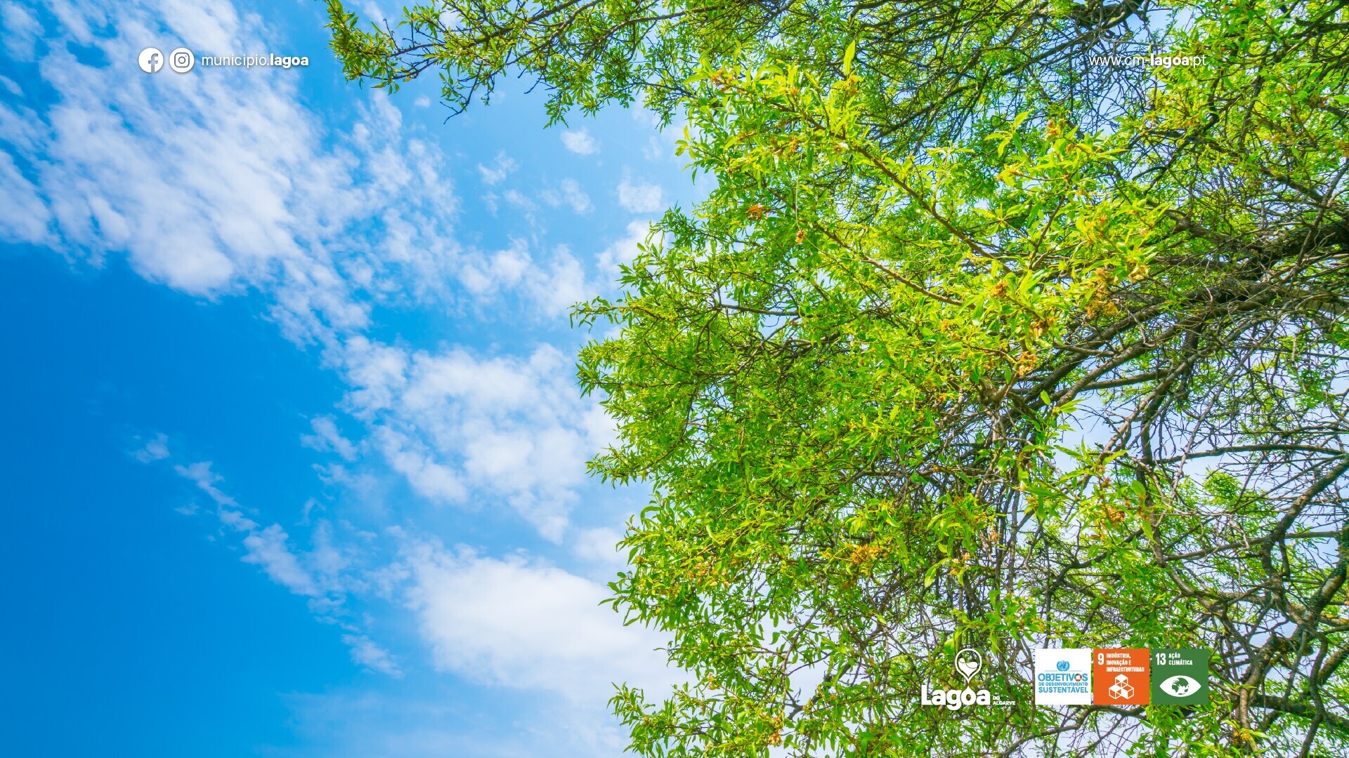 Município de Lagoa reforça aposta na qualidade do ar e nas cidades inteligentes com projeto desen...